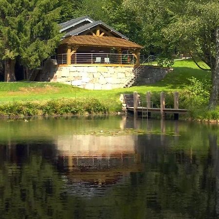 Gite L'Ilet Aux 2 Etangs Saint-Nabord Dış mekan fotoğraf