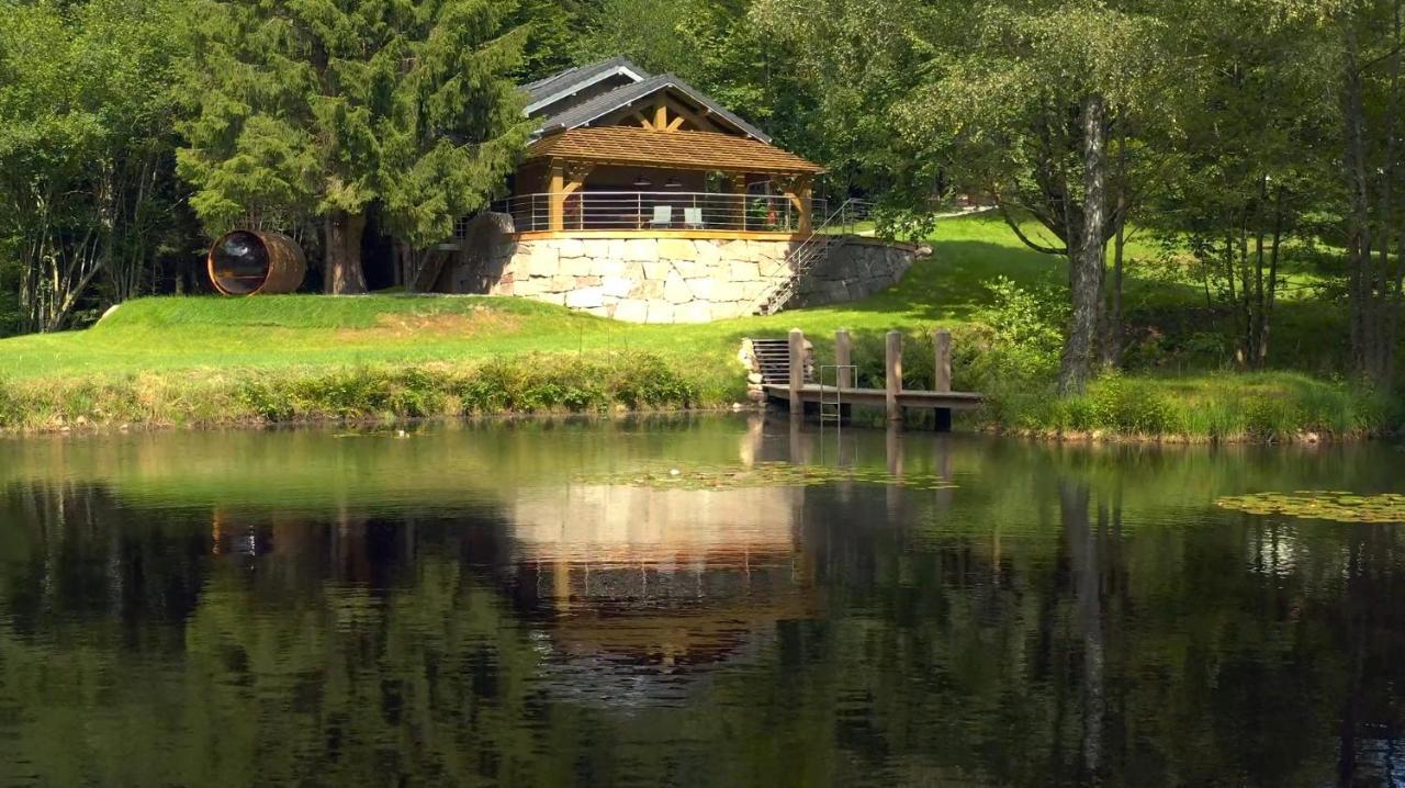 Gite L'Ilet Aux 2 Etangs Saint-Nabord Dış mekan fotoğraf